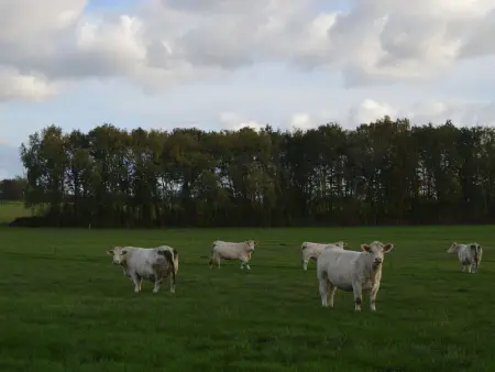 Maison éco-responsable avec terrasse, jardin privé et aménagement fauteuil roulant à Pouligny-Saint-Martin - Photo 20