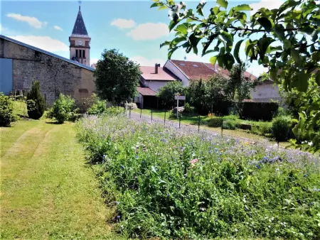 Gîte 3 chambres, jardin, proche Baccarat et Lacs de Pierre-Percée, animaux acceptés - Photo 1