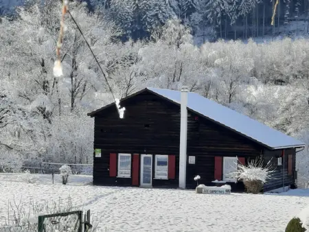 Chalet familial avec grand jardin et équipements pour enfants, à 500m du centre de Ban-sur-Meurthe - Photo 1