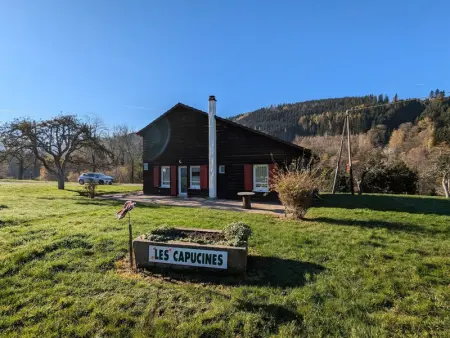 Chalet familial avec grand jardin et équipements pour enfants, à 500m du centre de Ban-sur-Meurthe - Photo 19