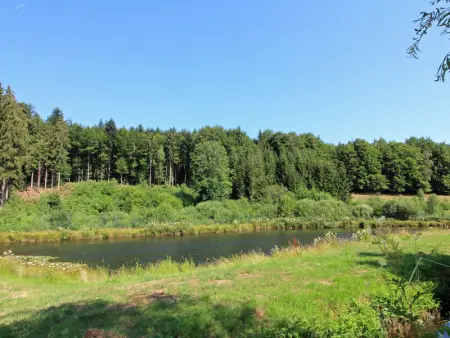 Maison de Caractère pour 12, Proche Gérardmer & Thermes, Nature et Confort - Bellefontaine - Photo 21