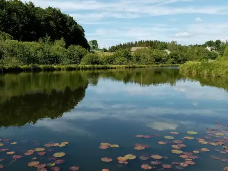 Maison de Caractère pour 12, Proche Gérardmer & Thermes, Nature et Confort - Bellefontaine - Photo 23