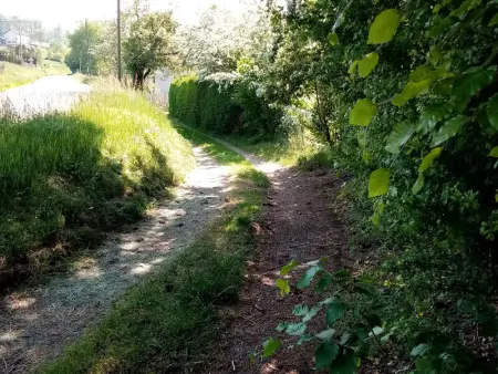 Maison de Caractère pour 12, Proche Gérardmer & Thermes, Nature et Confort - Bellefontaine - Photo 25