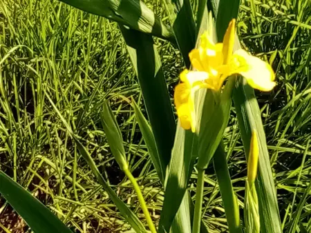 Maison de Caractère pour 12, Proche Gérardmer & Thermes, Nature et Confort - Bellefontaine - Photo 27