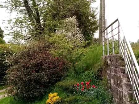Maison de Caractère pour 12, Proche Gérardmer & Thermes, Nature et Confort - Bellefontaine - Photo 29