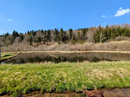 Maison de Caractère pour 12, Proche Gérardmer & Thermes, Nature et Confort - Bellefontaine - Photo 32