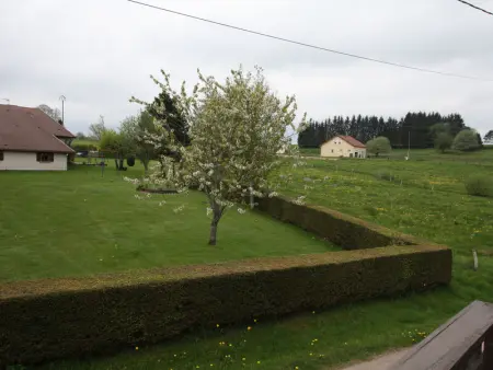 Gîte nature, 15 km de Gérardmer, randonnée, ski, jardin, terrasse, BBQ, équipements bébé inclus - Photo 25