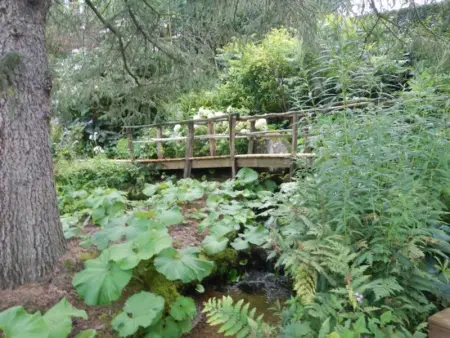 Gîte nature, 15 km de Gérardmer, randonnée, ski, jardin, terrasse, BBQ, équipements bébé inclus - Photo 28