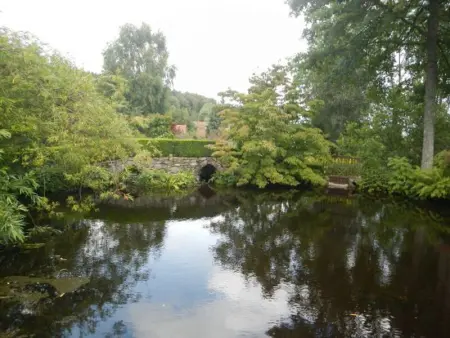 Gîte nature, 15 km de Gérardmer, randonnée, ski, jardin, terrasse, BBQ, équipements bébé inclus - Photo 30