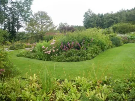 Gîte nature, 15 km de Gérardmer, randonnée, ski, jardin, terrasse, BBQ, équipements bébé inclus - Photo 31