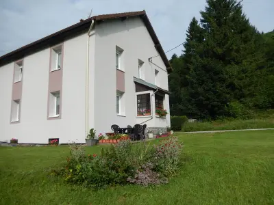 Cottage in Cornimont,Gîte en pleine nature, proche de La Bresse avec activités familiales, terrasse et poêle à bois FR-1-589-70 N°830326