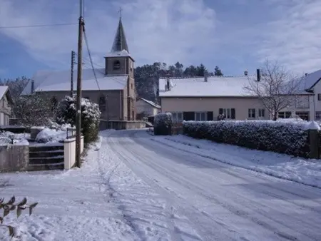 Gîte cozy au cœur des Vosges : terrasse, jardin, proche Gérardmer, animaux bienvenus - Photo 11