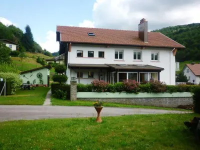 Casa rural en La Bresse,Gîte confortable à La Bresse, proche centre-ville, nature et activités FR-1-589-97 N°830340