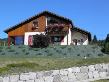 Apartment in Ban sur Meurthe Clefcy,Appartement Confortable avec Accès Facile, Proche Ski et Randonnée FR-1-589-137 N°830362