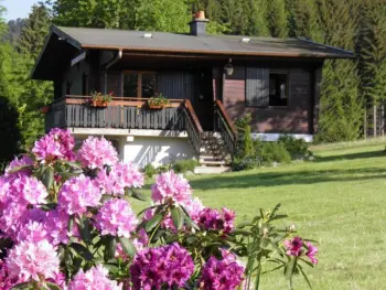 Cottage in Ban sur Meurthe Clefcy,Chalet rénové proche du Valtin – Idéal pour famille, randonnées et ski, Wifi, luges fournies FR-1-589-150 N°830369