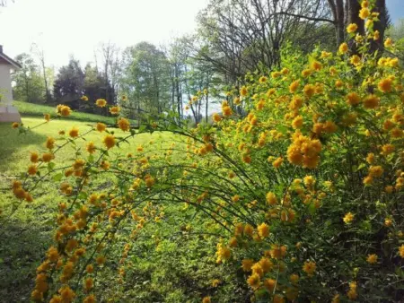 Gîte Confortable en Pleine Forêt avec Étang, Idéal pour Familles et Amis - Photo 17