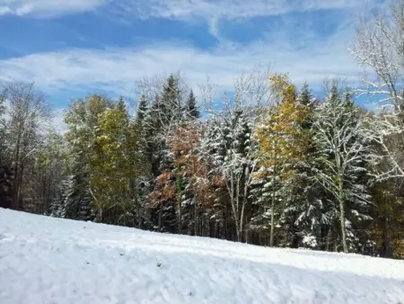 Gîte Confortable en Pleine Forêt avec Étang, Idéal pour Familles et Amis - Photo 18