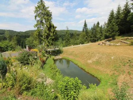 Gîte Confortable en Pleine Forêt avec Étang, Idéal pour Familles et Amis - Photo 27