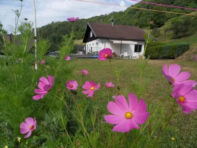 Gite à La Bresse, Gîte cosy à La Bresse - Proche sentiers, rivière et piste cyclable, idéal pour randonnées et séjours en famille FR-1-589-168 N°830377