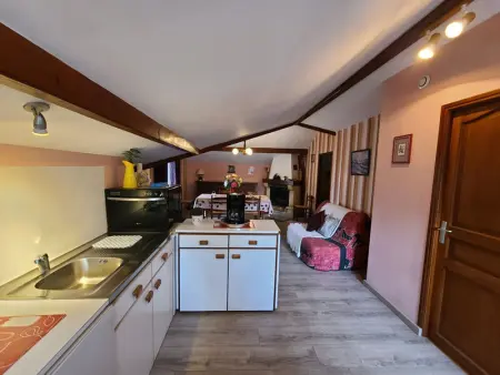 Gîte confortable à Plombières-les-Bains, proche thermes, nature et ski - Photo 7