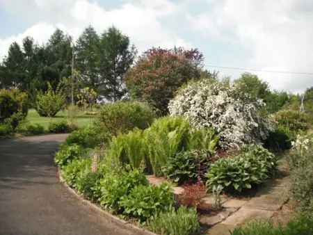 Gîte confortable à Plombières-les-Bains, proche thermes, nature et ski - Photo 10