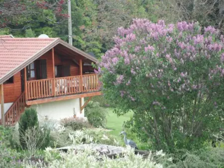 Gîte confortable à Plombières-les-Bains, proche thermes, nature et ski - Photo 13