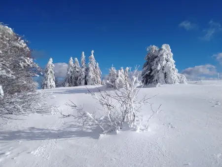 Chalet confortable 3 chambres, proche Gérardmer, avec garage, balcon et équipements bébé. - Photo 2