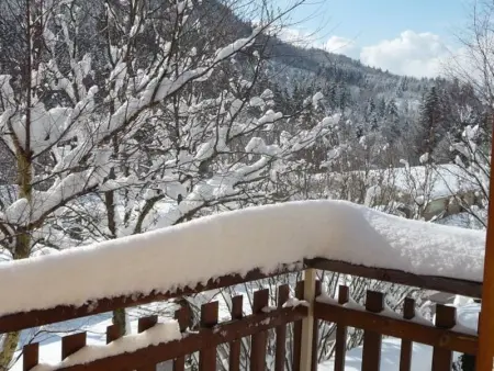Chalet confortable 3 chambres, proche Gérardmer, avec garage, balcon et équipements bébé. - Photo 7