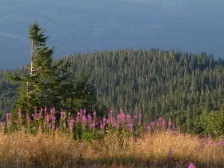Chalet confortable 3 chambres, proche Gérardmer, avec garage, balcon et équipements bébé. - Photo 33