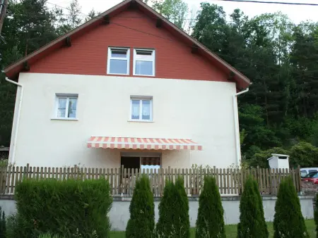 Gîte Alsace proche forêts, randonnée, stations de ski, 2 salons, terrasse sud, cheminée, animaux acceptés - Photo 1