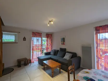 Gîte Alsace proche forêts, randonnée, stations de ski, 2 salons, terrasse sud, cheminée, animaux acceptés - Photo 2