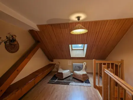 Gîte Alsace proche forêts, randonnée, stations de ski, 2 salons, terrasse sud, cheminée, animaux acceptés - Photo 5