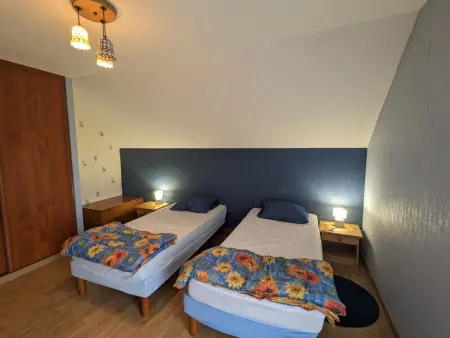 Gîte Alsace proche forêts, randonnée, stations de ski, 2 salons, terrasse sud, cheminée, animaux acceptés - Photo 11