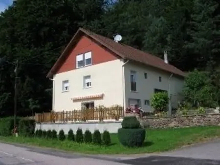 Gîte Alsace proche forêts, randonnée, stations de ski, 2 salons, terrasse sud, cheminée, animaux acceptés - Photo 22