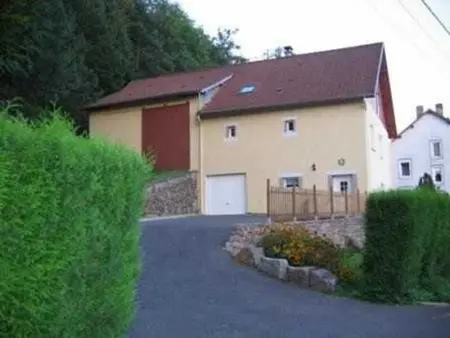 Gîte Alsace proche forêts, randonnée, stations de ski, 2 salons, terrasse sud, cheminée, animaux acceptés - Photo 27