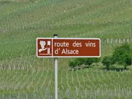 Gîte Alsace proche forêts, randonnée, stations de ski, 2 salons, terrasse sud, cheminée, animaux acceptés - Photo 31