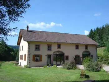 Cottage in Taintrux,Grande Ferme Rénovée avec Jardin, Terrasse et Sentiers à Proximité - Vosges FR-1-589-232 N°830408