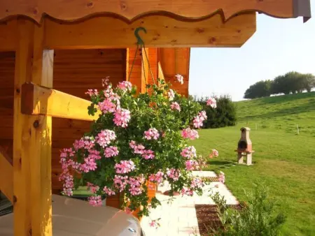 Chalet chaleureux avec sauna, terrain, terrasse et babyfoot à Saint-Nabord - Photo 22
