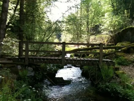 Chalet chaleureux avec sauna, terrain, terrasse et babyfoot à Saint-Nabord - Photo 30
