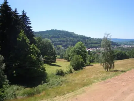Chalet Confort 3 Chambres avec Cheminée au Cœur des Vosges, près de Colmar et Route des Crêtes - Photo 10