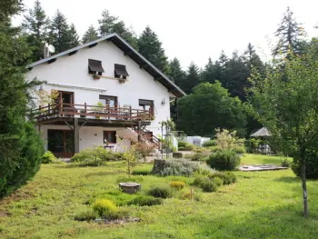 Cottage in La Bourgonce,Gîte Paisible au Cœur de la Forêt, Idéal pour 4 Pers avec Terrasse, Jardin et Activités Nature FR-1-589-322 N°830432