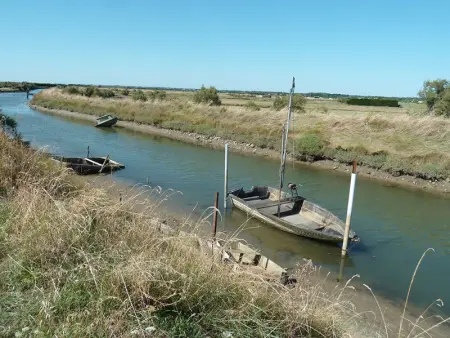 Gîte en plein bourg avec terrasse ensoleillée, vélos à disposition et parking – proche thalasso et plages - Photo 18