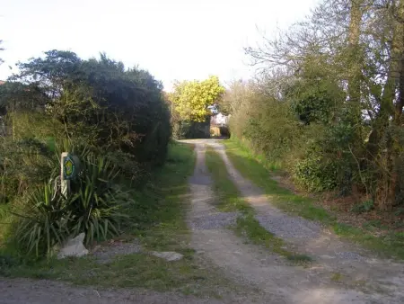Gîte rustique avec salle de jeux et animaux en campagne - Photo 10
