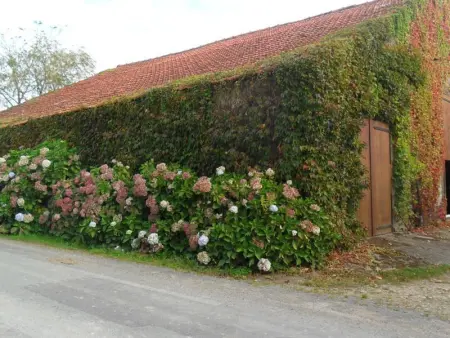 Gîte rustique avec salle de jeux et animaux en campagne - Photo 13