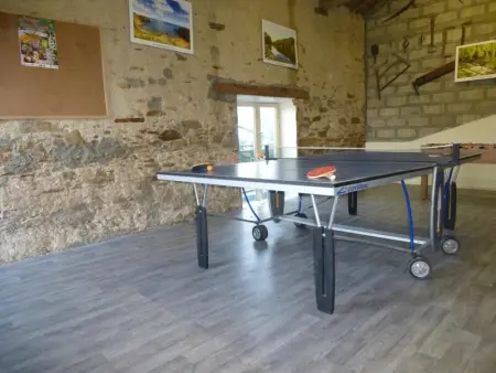 Gîte rustique avec salle de jeux et animaux en campagne - Photo 14