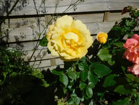 Gîte rustique avec salle de jeux et animaux en campagne - Photo 16