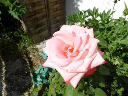 Gîte rustique avec salle de jeux et animaux en campagne - Photo 17