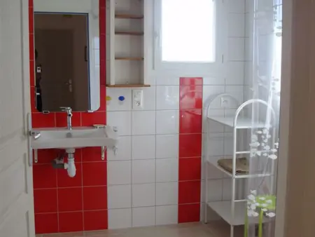 Gîte authentique avec cheminée, terrasse privée, accessible PMR, pêche et activités ULM - Vendée - Photo 11