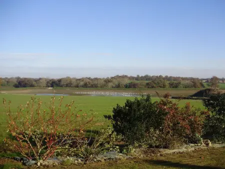 Gîte authentique avec cheminée, terrasse privée, accessible PMR, pêche et activités ULM - Vendée - Photo 18