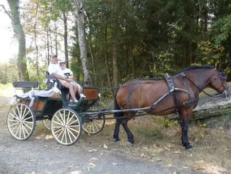 Gîte Naturel au Périgord Limousin, Animaux Admis, Wi-Fi Gratuit - Photo 14